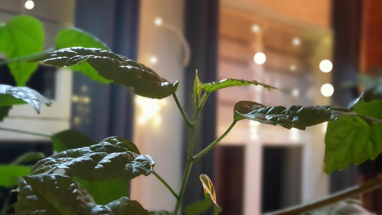 Apartamento Stara Szkola W Weremowicach Weremowice Exterior foto